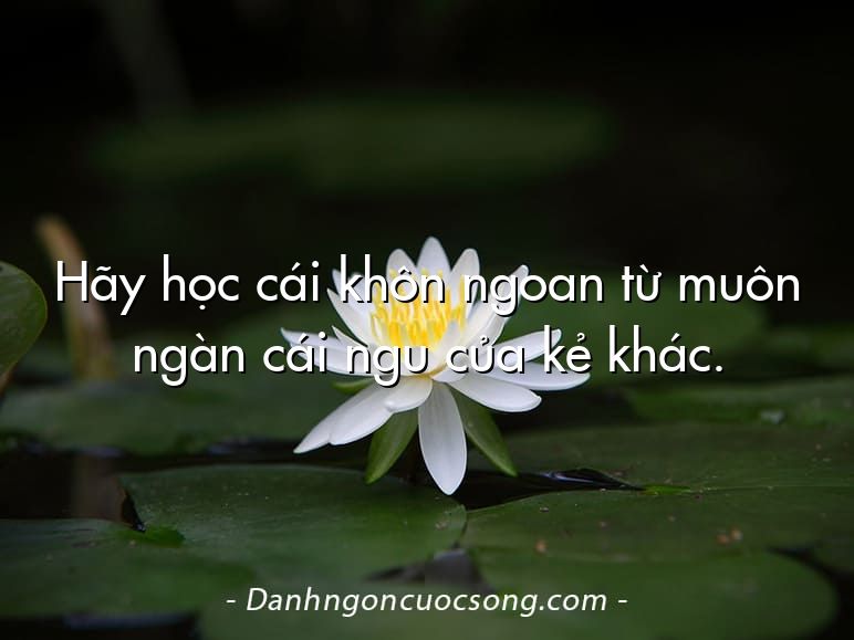 Hãy học cái khôn ngoan từ muôn ngàn cái ngu của kẻ khác.