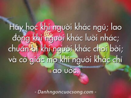 Hãy học khi người khác ngủ; lao động khi người khác lười nhác; chuẩn bị khi người khác chơi bời; và có giấc mơ khi người khác chỉ ao ước.