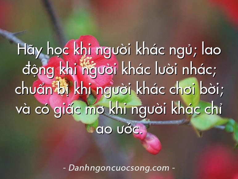 Hãy học khi người khác ngủ; lao động khi người khác lười nhác; chuẩn bị khi người khác chơi bời; và có giấc mơ khi người khác chỉ ao ước.