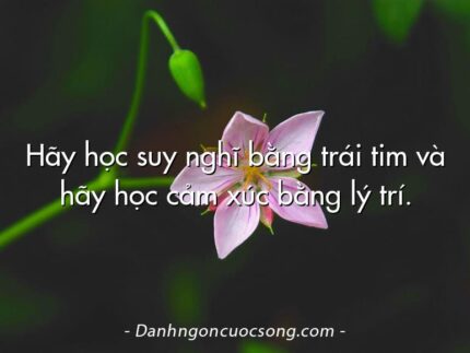 Hãy học suy nghĩ bằng trái tim và hãy học cảm xúc bằng lý trí.
