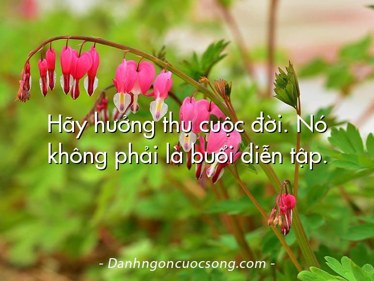 Hãy hưởng thụ cuộc đời. Nó không phải là buổi diễn tập.