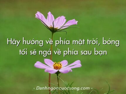 Hãy hướng về phía mặt trời, bóng tối sẽ ngả về phía sau bạn