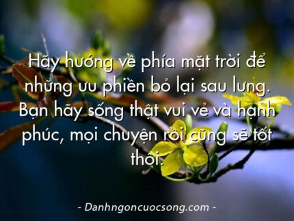 Hãy hướng về phía mặt trời để những ưu phiền bỏ lại sau lưng. Bạn hãy sống thật vui vẻ và hạnh phúc, mọi chuyện rồi cũng sẽ tốt thôi.