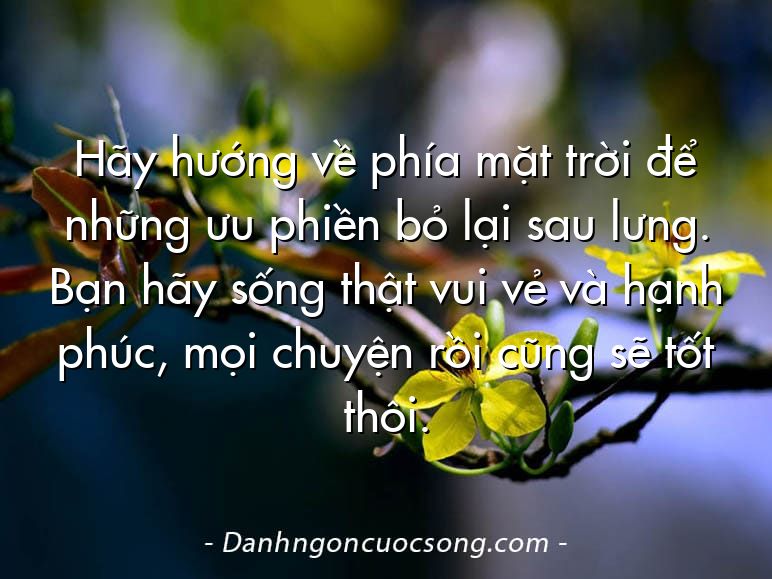 Hãy hướng về phía mặt trời để những ưu phiền bỏ lại sau lưng. Bạn hãy sống thật vui vẻ và hạnh phúc, mọi chuyện rồi cũng sẽ tốt thôi.