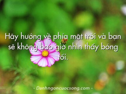 Hãy hướng về phía mặt trời và bạn sẽ không bao giờ nhìn thấy bóng tối.