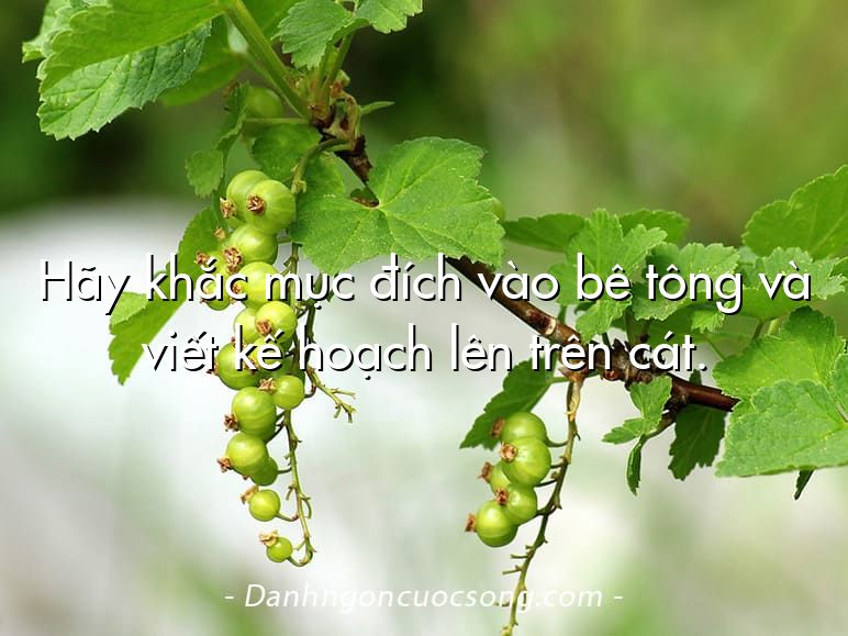 Hãy khắc mục đích vào bê tông và viết kế hoạch lên trên cát.