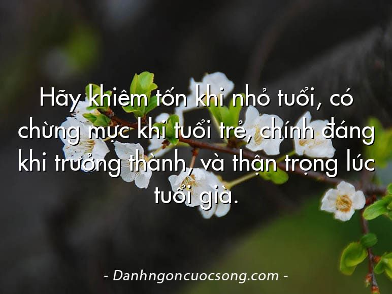 Hãy khiêm tốn khi nhỏ tuổi, có chừng mực khi tuổi trẻ, chính đáng khi trưởng thành, và thận trọng lúc tuổi già.