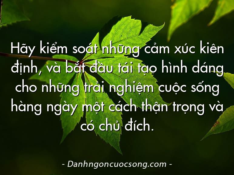 Hãy kiểm soát những cảm xúc kiên định, và bắt đầu tái tạo hình dáng cho những trải nghiệm cuộc sống hàng ngày một cách thận trọng và có chủ đích.