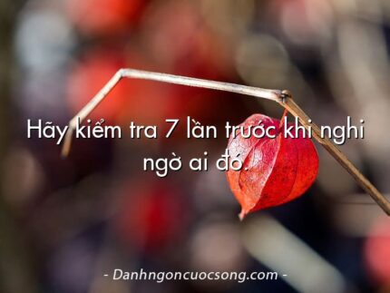 Hãy kiểm tra 7 lần trước khi nghi ngờ ai đó. 