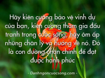 Hãy kiên cường bảo vệ vinh dự của bạn, kiên cường tham gia đấu tranh trong cuộc sống, hãy ôm ấp những chân lý và hướng về nó. Đó là con đường chân chính để đạt được hạnh phúc