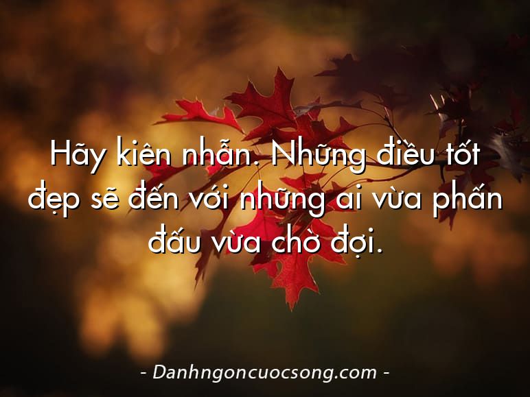 Hãy kiên nhẫn. Những điều tốt đẹp sẽ đến với những ai vừa phấn đấu vừa chờ đợi.