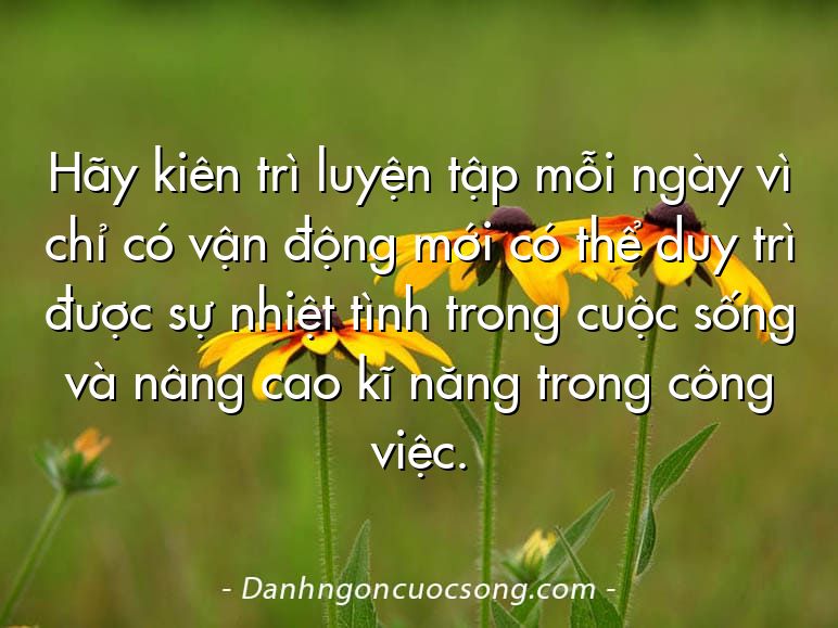 Hãy kiên trì luyện tập mỗi ngày vì chỉ có vận động mới có thể duy trì được sự nhiệt tình trong cuộc sống và nâng cao kĩ năng trong công việc.