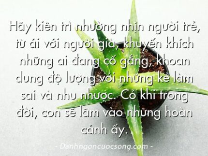 Hãy kiên trì nhường nhịn người trẻ, từ ái với người già, khuyến khích những ai đang cố gắng, khoan dung độ lượng với những kẻ làm sai và nhu nhược. Có khi trong đời, con sẽ lâm vào những hoàn cảnh ấy.