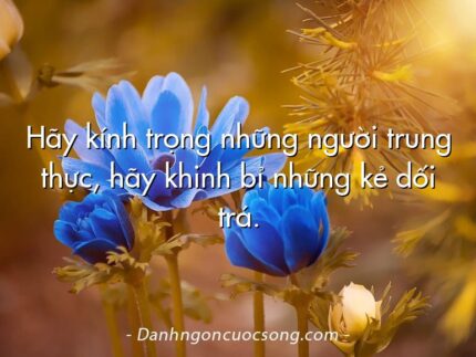 Hãy kính trọng những người trung thực, hãy khinh bỉ những kẻ dối trá.