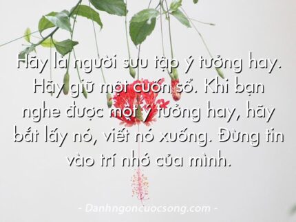 Hãy là người sưu tập ý tưởng hay. Hãy giữ một cuốn sổ. Khi bạn nghe được một ý tưởng hay, hãy bắt lấy nó, viết nó xuống. Đừng tin vào trí nhớ của mình.