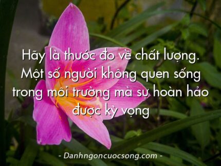 Hãy là thước đo về chất lượng. Một số người không quen sống trong môi trường mà sự hoàn hảo được kỳ vọng