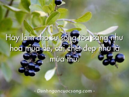 Hãy làm cho sự sống tỏa sáng như hoa mùa hè, cái chết đẹp như lá mùa thu.
