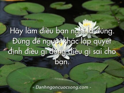 Hãy làm điều bạn nghĩ là đúng. Đừng để người khác lập quyết định điều gì đúng điều gì sai cho bạn.