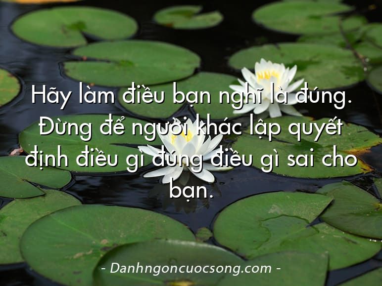 Hãy làm điều bạn nghĩ là đúng. Đừng để người khác lập quyết định điều gì đúng điều gì sai cho bạn.
