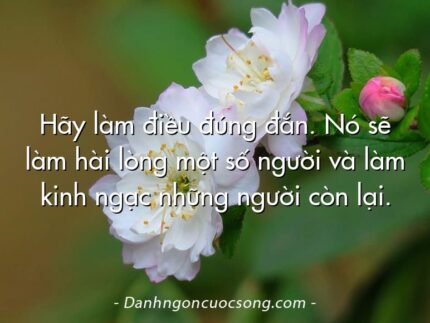 Hãy làm điều đúng đắn. Nó sẽ làm hài lòng một số người và làm kinh ngạc những người còn lại.