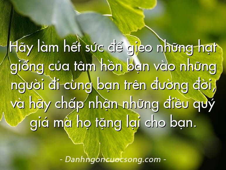 Hãy làm hết sức để gieo những hạt giống của tâm hồn bạn vào những người đi cùng bạn trên đường đời, và hãy chấp nhận những điều quý giá mà họ tặng lại cho bạn.