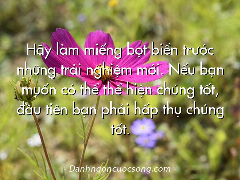 Hãy làm miếng bọt biển trước những trải nghiệm mới. Nếu bạn muốn có thể thể hiện chúng tốt, đầu tiên bạn phải hấp thụ chúng tốt.