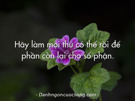 Hãy làm mọi thứ có thể rồi để phần còn lại cho số phận. 
