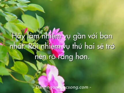 Hãy làm nhiệm vụ gần với bạn nhất. Rồi nhiệm vụ thứ hai sẽ trở nên rõ ràng hơn.