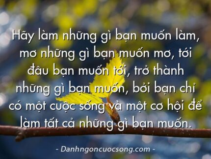 Hãy làm những gì bạn muốn làm, mơ những gì bạn muốn mơ, tới đâu bạn muốn tới, trở thành những gì bạn muốn, bởi bạn chỉ có một cuộc sống và một cơ hội để làm tất cả những gì bạn muốn.