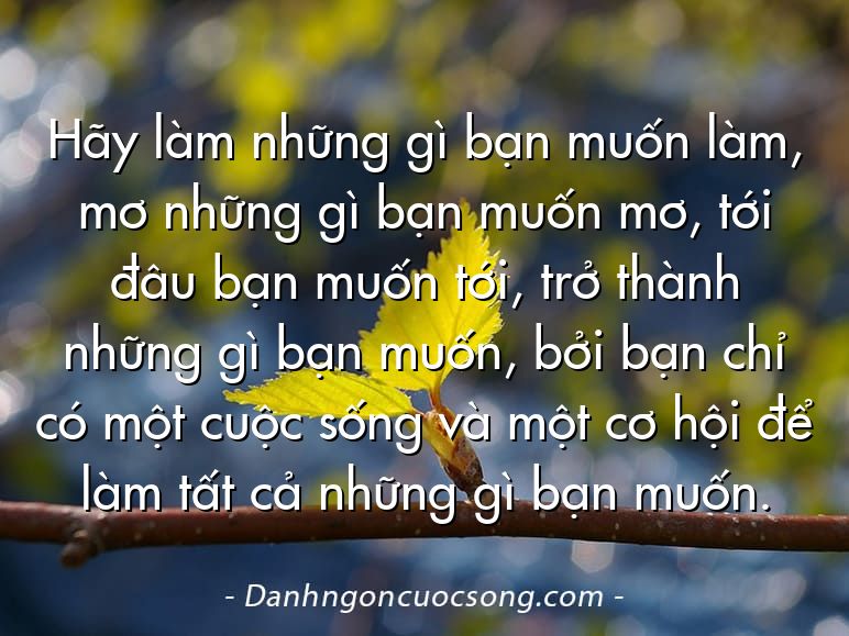 Hãy làm những gì bạn muốn làm, mơ những gì bạn muốn mơ, tới đâu bạn muốn tới, trở thành những gì bạn muốn, bởi bạn chỉ có một cuộc sống và một cơ hội để làm tất cả những gì bạn muốn.