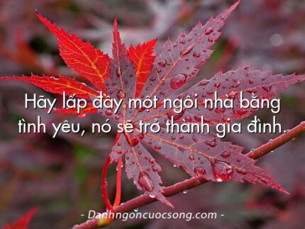 Hãy lấp đầy một ngôi nhà bằng tình yêu, nó sẽ trở thành gia đình.