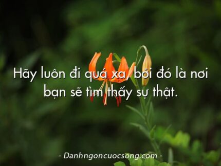 Hãy luôn đi quá xa, bởi đó là nơi bạn sẽ tìm thấy sự thật.