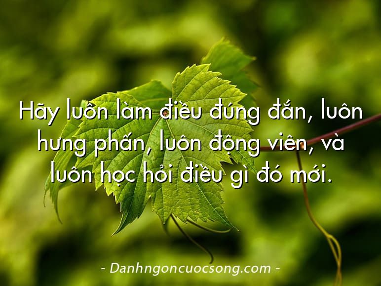 Hãy luôn làm điều đúng đắn, luôn hưng phấn, luôn động viên, và luôn học hỏi điều gì đó mới.