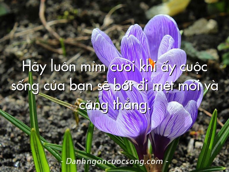 Hãy luôn mỉm cười khi ấy cuộc sống của bạn sẽ bớt đi mệt mỏi và căng thẳng.