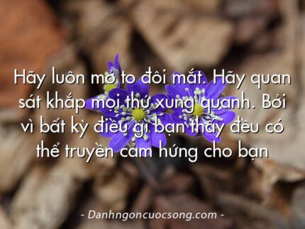 Hãy luôn mở to đôi mắt. Hãy quan sát khắp mọi thứ xung quanh. Bởi vì bất kỳ điều gì bạn thấy đều có thể truyền cảm hứng cho bạn