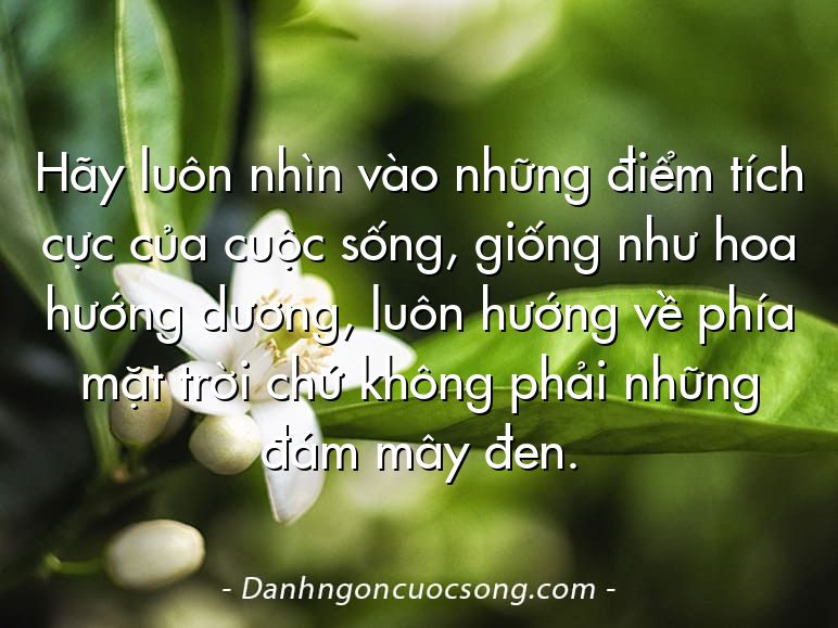 Hãy luôn nhìn vào những điểm tích cực của cuộc sống, giống như hoa hướng dương, luôn hướng về phía mặt trời chứ không phải những đám mây đen.