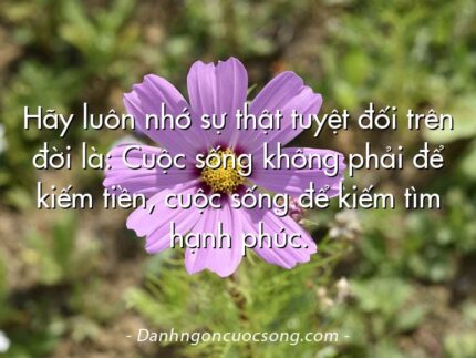 Hãy luôn nhớ sự thật tuyệt đối trên đời là: Cuộc sống không phải để kiếm tiền, cuộc sống để kiếm tìm hạnh phúc.