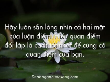 Hãy luôn sẵn lòng nhìn cả hai mặt của luận điểm. Hiểu quan điểm đối lập là cách tốt nhất để củng cố quan điểm của bạn.