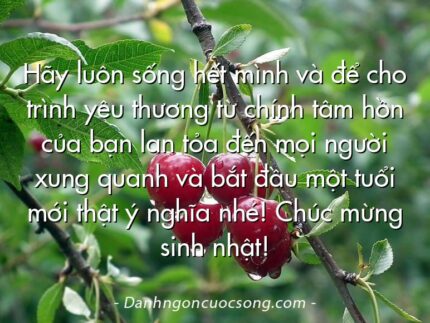 Hãy luôn sống hết mình và để cho trình yêu thương từ chính tâm hồn của bạn lan tỏa đến mọi người xung quanh và bắt đầu một tuổi mới thật ý nghĩa nhé! Chúc mừng sinh nhật!