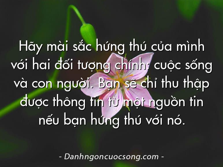 Hãy mài sắc hứng thú của mình với hai đối tượng chính: cuộc sống và con người. Bạn sẽ chỉ thu thập được thông tin từ một nguồn tin nếu bạn hứng thú với nó.