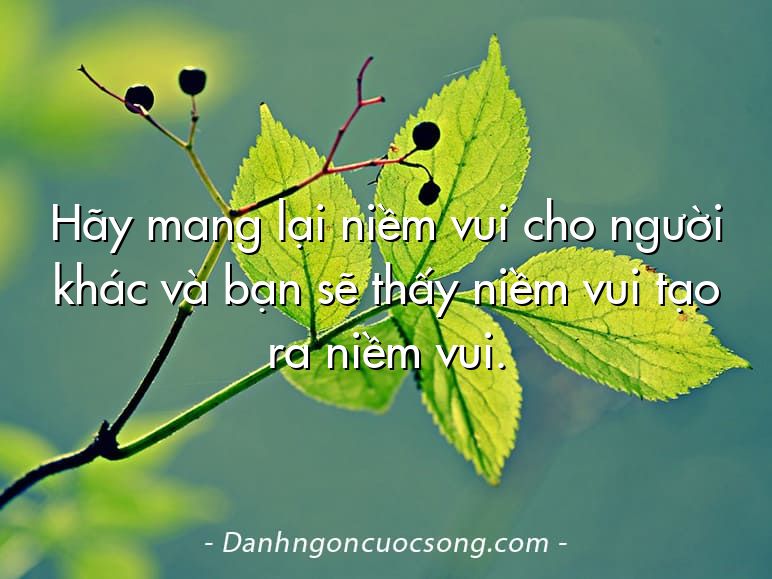 Hãy mang lại niềm vui cho người khác và bạn sẽ thấy niềm vui tạo ra niềm vui.