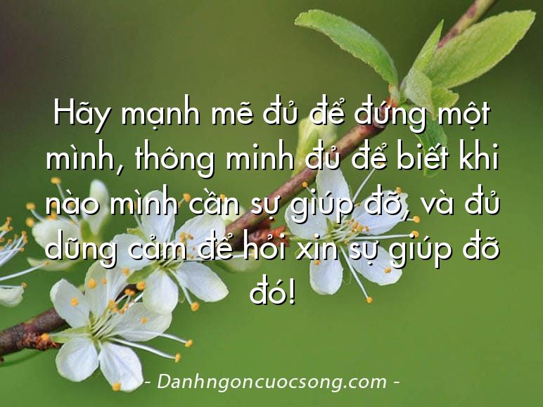 Hãy mạnh mẽ đủ để đứng một mình, thông minh đủ để biết khi nào mình cần sự giúp đỡ, và đủ dũng cảm để hỏi xin sự giúp đỡ đó!
