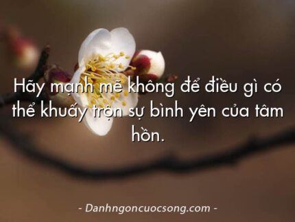 Hãy mạnh mẽ không để điều gì có thể khuấy trộn sự bình yên của tâm hồn.