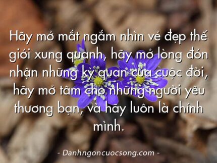 Hãy mở mắt ngắm nhìn vẻ đẹp thế giới xung quanh, hãy mở lòng đón nhận những kỳ quan của cuộc đời, hãy mở tâm cho những người yêu thương bạn, và hãy luôn là chính mình.