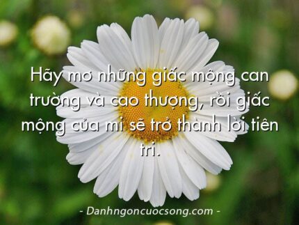 Hãy mơ những giấc mộng can trường và cao thượng, rồi giấc mộng của mi sẽ trở thành lời tiên tri.