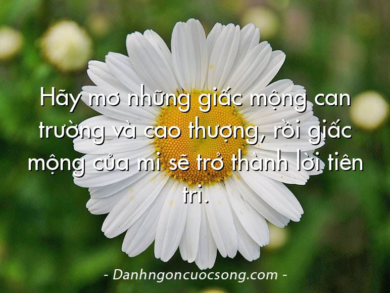 Hãy mơ những giấc mộng can trường và cao thượng, rồi giấc mộng của mi sẽ trở thành lời tiên tri.