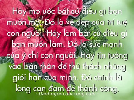 Hãy mơ ước bất cứ điều gì bạn muốn mơ. Đó là vẻ đẹp của trí tuệ con người. Hãy làm bất cứ điều gì bạn muốn làm. Đó là sức mạnh của ý chí con người. Hãy tin tưởng vào bản thân để thử thách những giới hạn của mình. Đó chính là lòng can đảm để thành công.