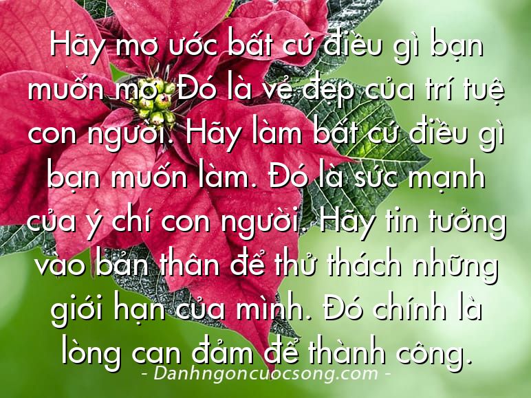 Hãy mơ ước bất cứ điều gì bạn muốn mơ. Đó là vẻ đẹp của trí tuệ con người. Hãy làm bất cứ điều gì bạn muốn làm. Đó là sức mạnh của ý chí con người. Hãy tin tưởng vào bản thân để thử thách những giới hạn của mình. Đó chính là lòng can đảm để thành công.