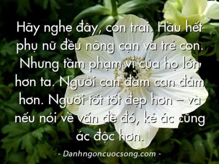Hãy nghe đây, con trai. Hầu hết phụ nữ đều nông cạn và trẻ con. Nhưng tầm phạm vi của họ lớn hơn ta. Người can đảm can đảm hơn. Người tốt tốt đẹp hơn – và nếu nói về vấn đề đó, kẻ ác cũng ác độc hơn.