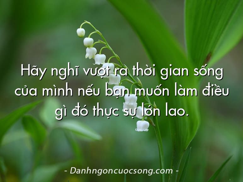 Hãy nghĩ vượt ra thời gian sống của mình nếu bạn muốn làm điều gì đó thực sự lớn lao.